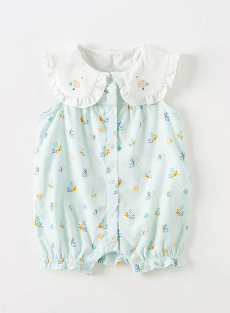 ديف اند بيلا رومبير صدف